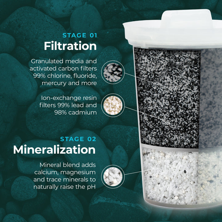 Santevia MINA Fluoride Filter - Single- SANTEVIA-The Health Store- Default Title