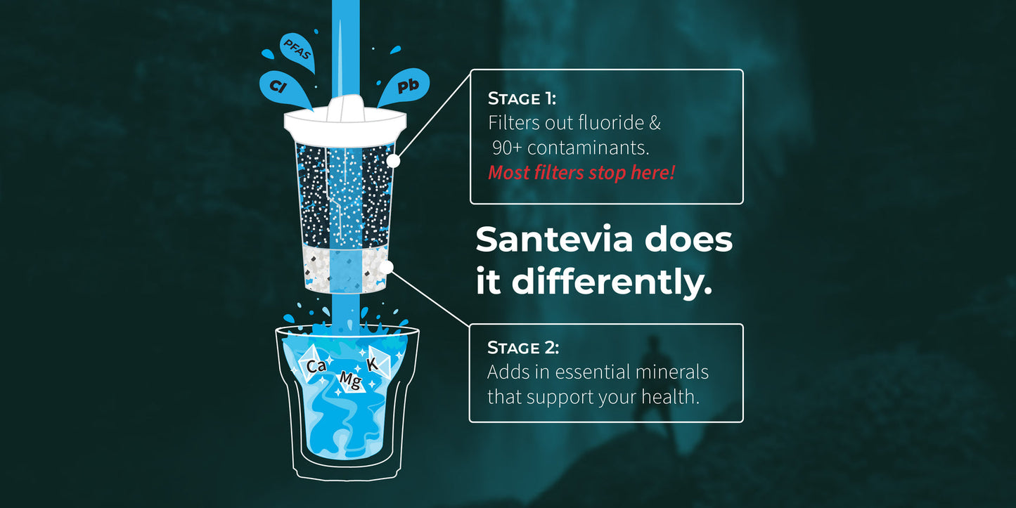 Santevia Glass Water System- SANTEVIA-The Health Store- Default Title