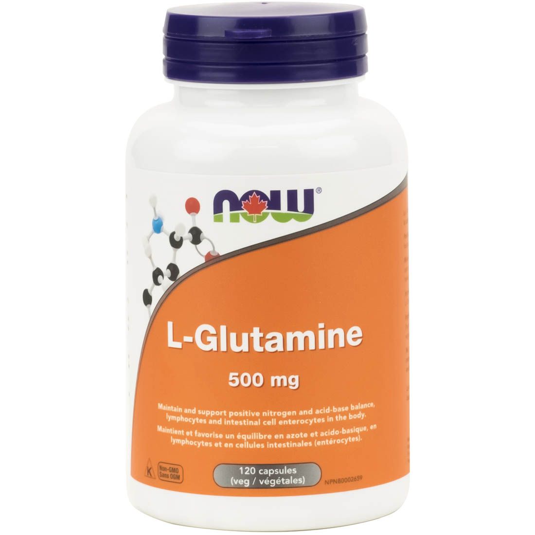 NOW L-Glutamine 500mg 120 Caps- PURE SOURCE-The Health Store- Default Title