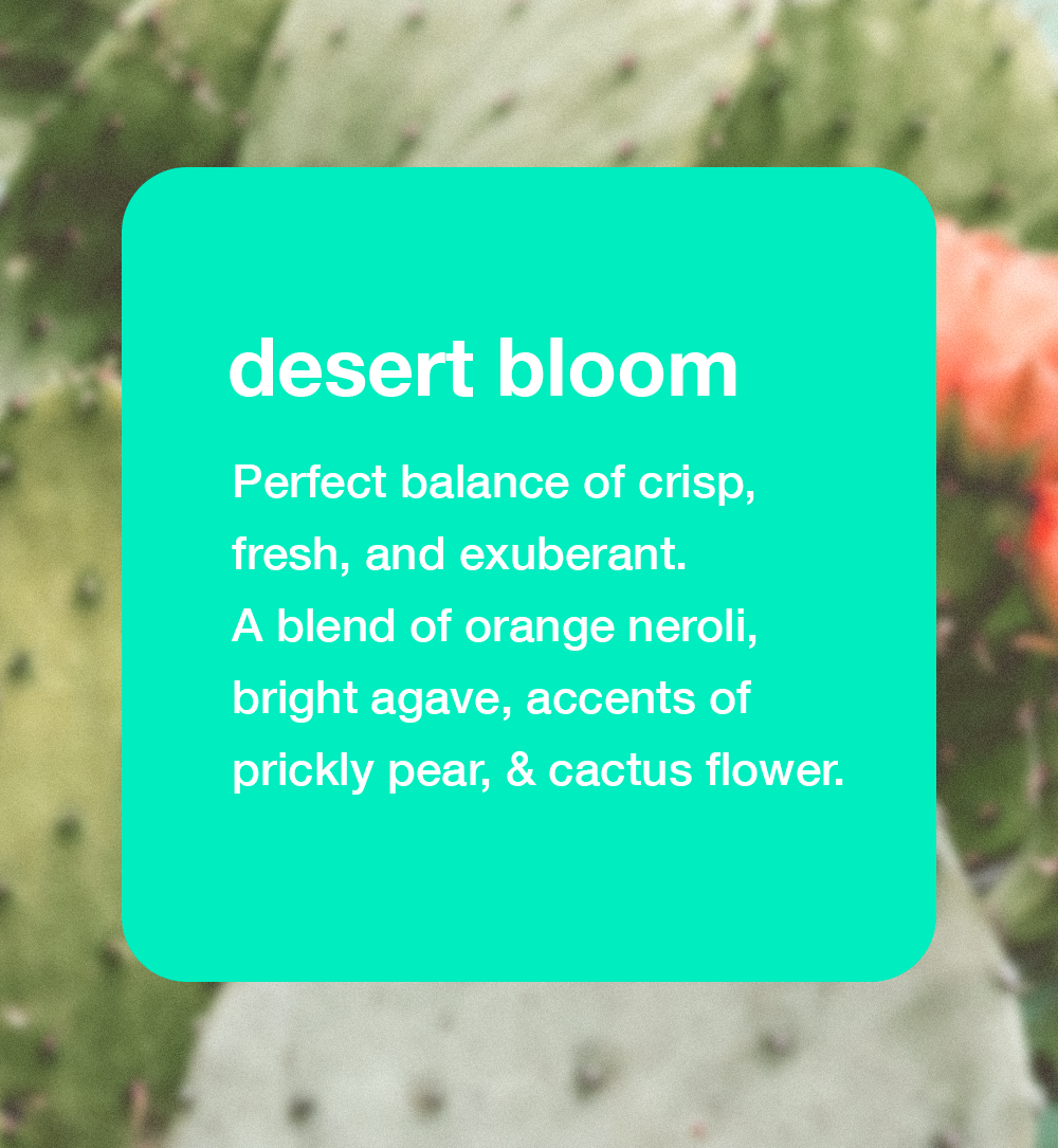 HUME DEODORANT - desert bloom 57g