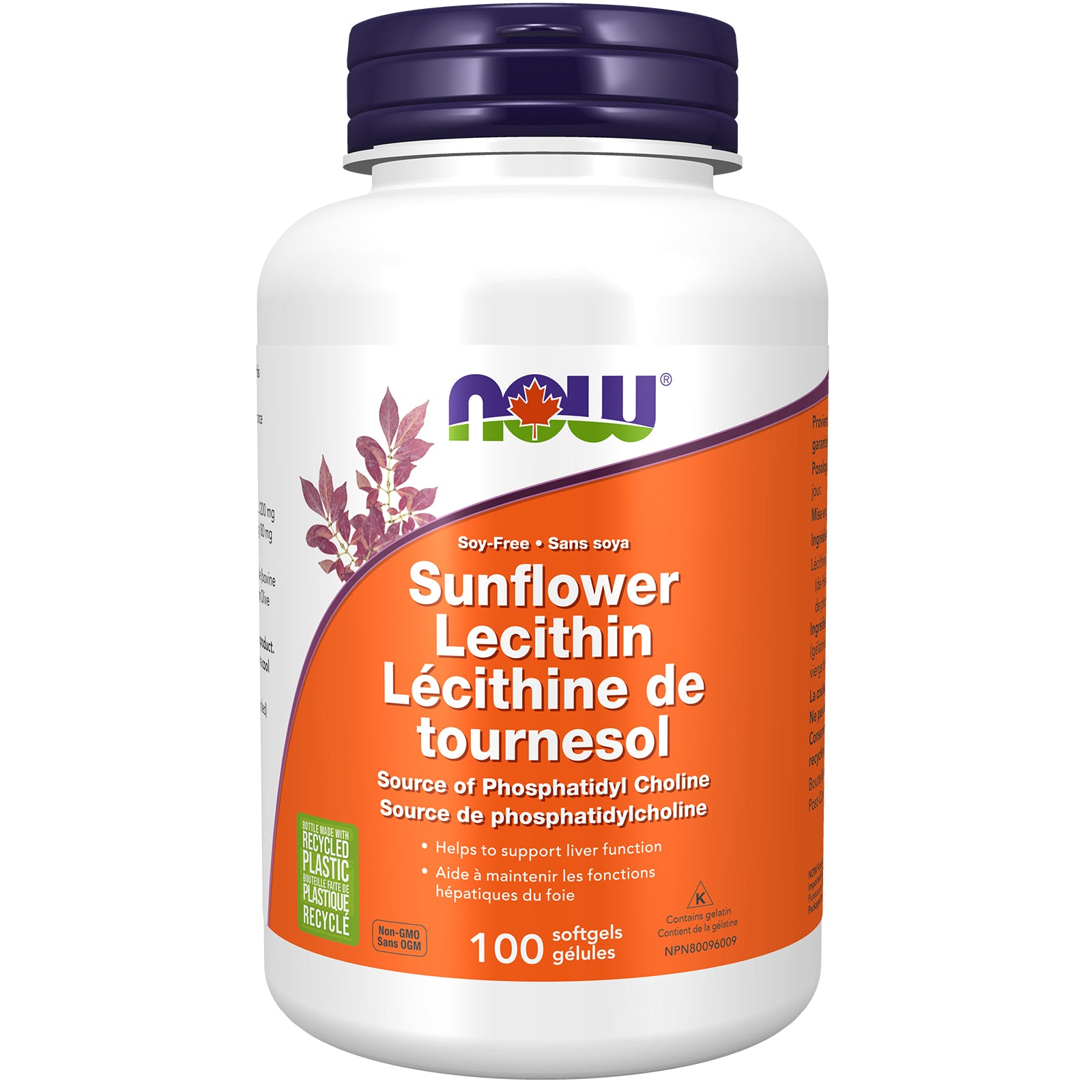 NOW Sunflower Lecithin 100 Soft Gels- PURE SOURCE-The Health Store- Default Title