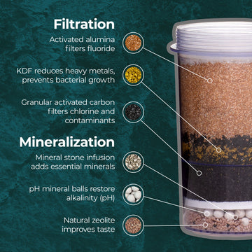 SANTEVIA Fluoride Filter for Counter System