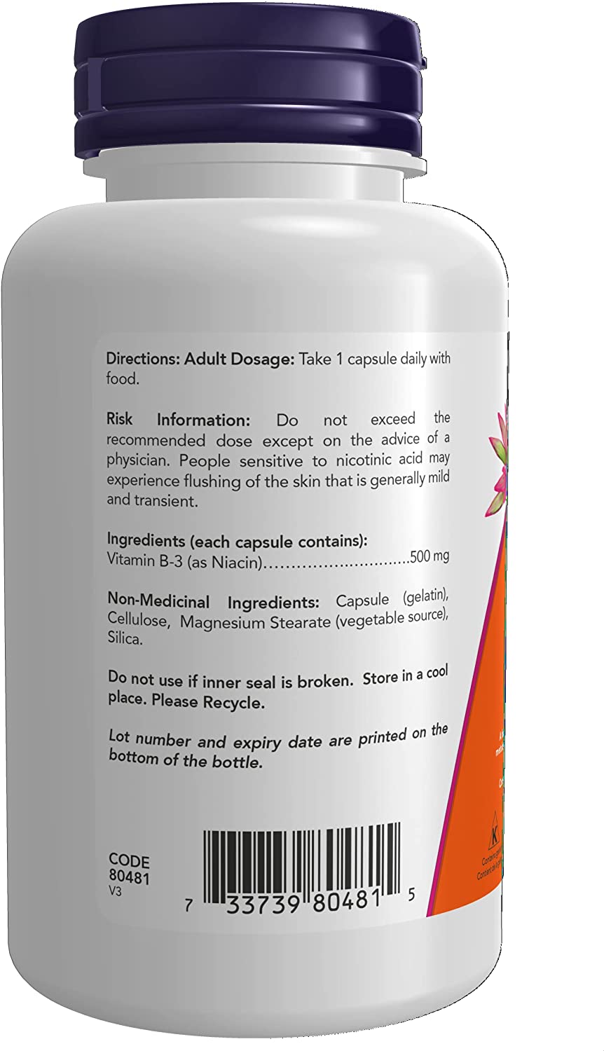 NOW Niacin Vitamin B3 500mg 100 Caps- PURE SOURCE-The Health Store- Default Title
