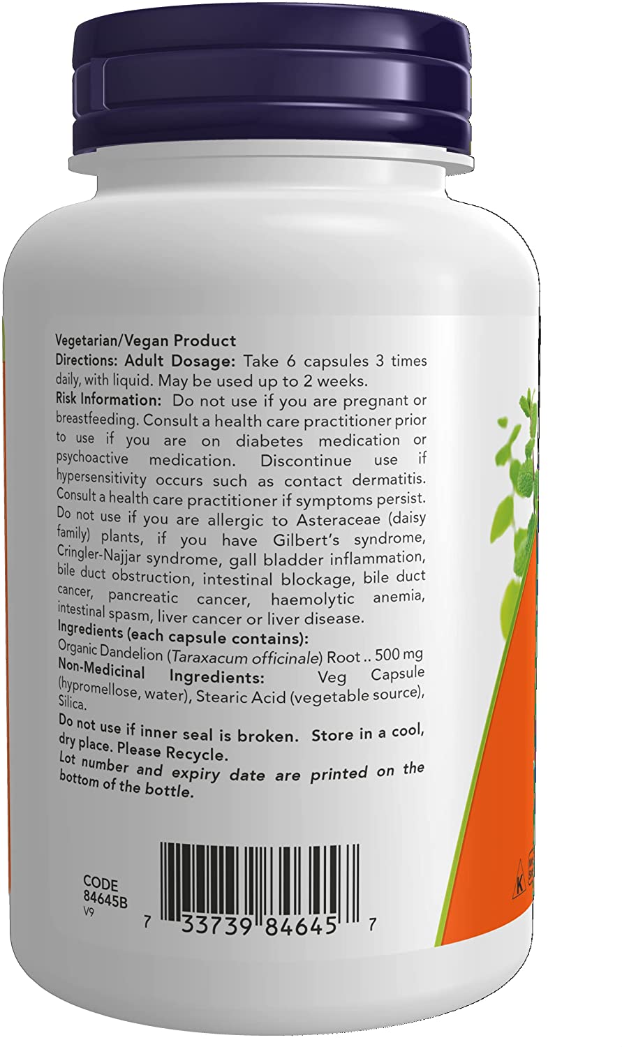 NOW Dandelion Root 100 V Caps- PURE SOURCE-The Health Store- Default Title