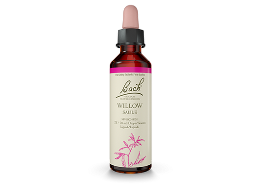 Bach Flower Essence Willow Drops 20mL- PURE SOURCE-The Health Store- Default Title