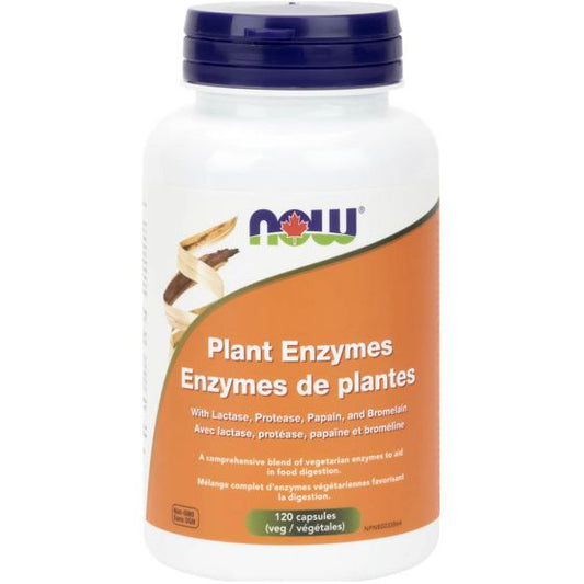 NOW Plant Enzymes 120 V Caps